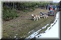 2023_03_husky035.jpg