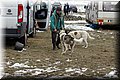 2023_03_husky093.jpg